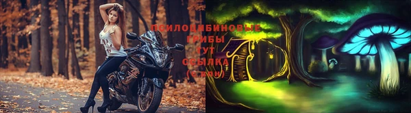 ПСИЛОЦИБИНОВЫЕ ГРИБЫ Баксан