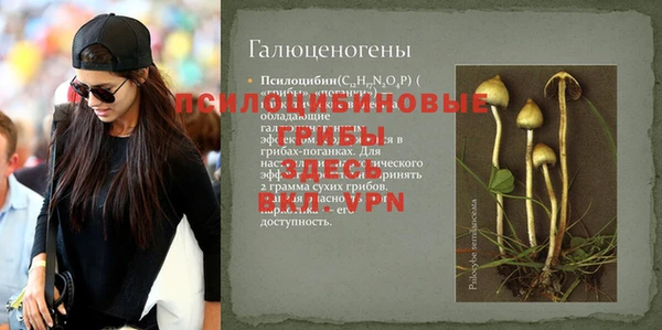 ПСИЛОЦИБИНОВЫЕ ГРИБЫ Баксан