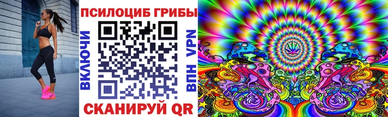 Псилоцибиновые грибы ЛСД  купить наркоту  Светлоград 