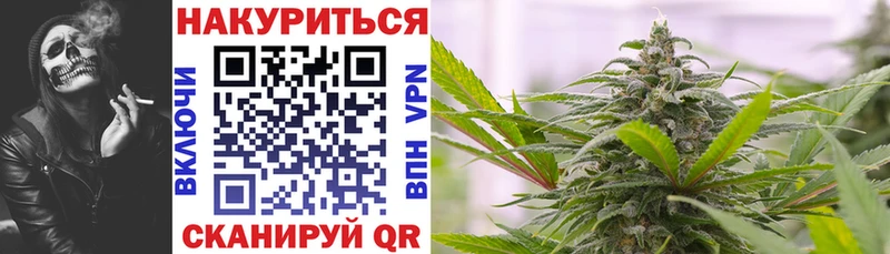 kraken   Светлоград  Каннабис конопля 